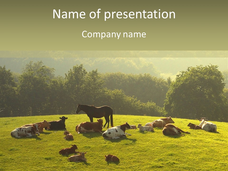 Pferde Tiere Kuh PowerPoint Template