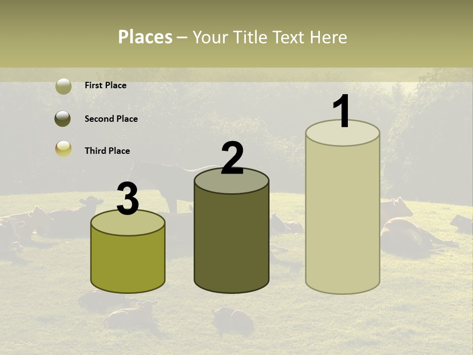 Pferde Tiere Kuh PowerPoint Template