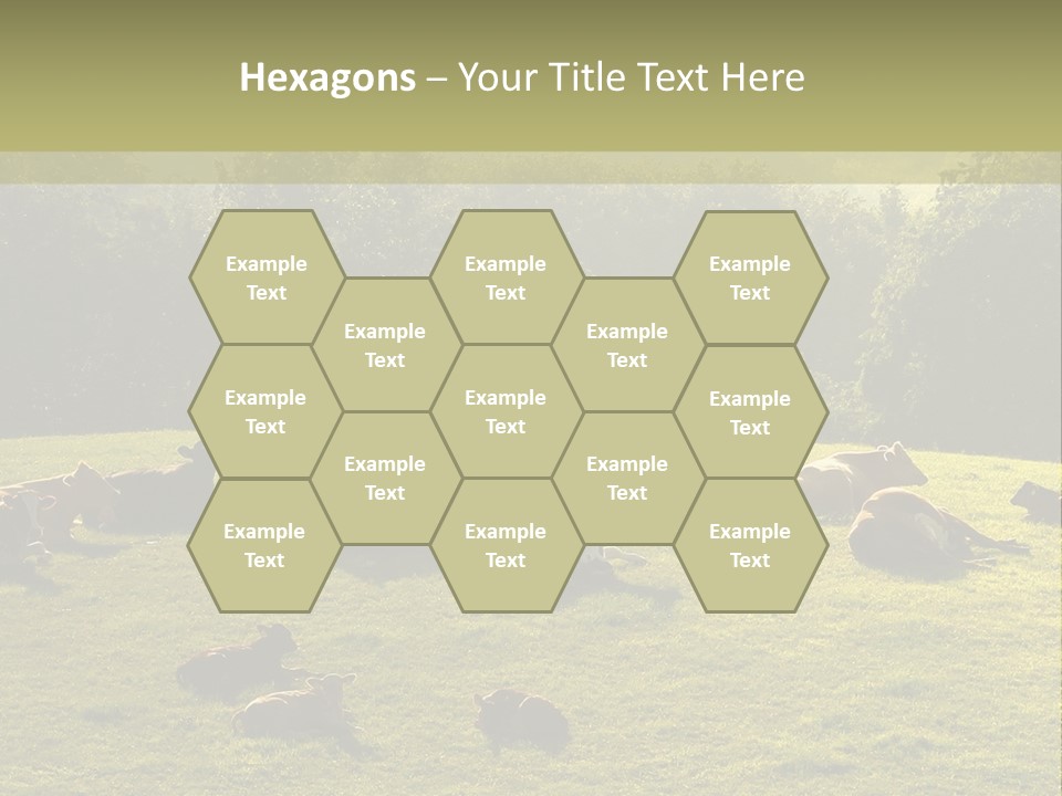 Pferde Tiere Kuh PowerPoint Template