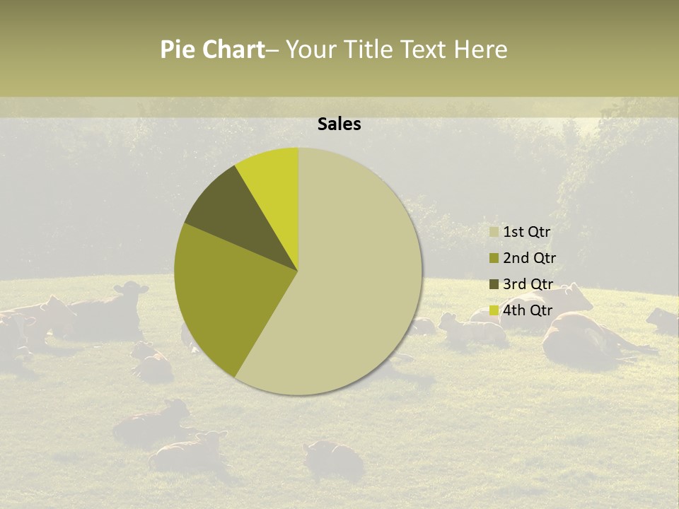 Pferde Tiere Kuh PowerPoint Template