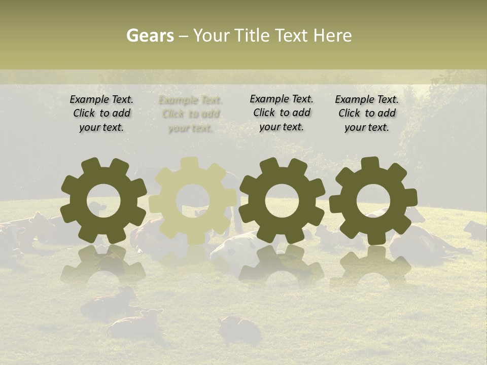 Pferde Tiere Kuh PowerPoint Template