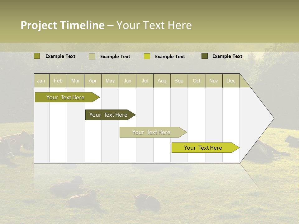 Pferde Tiere Kuh PowerPoint Template