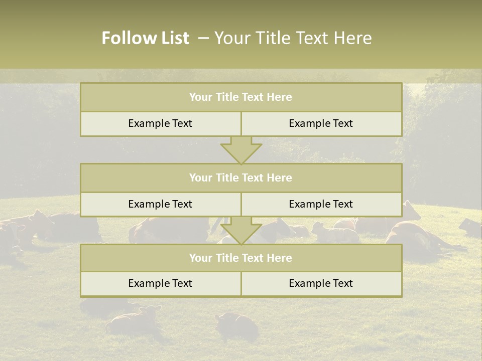 Pferde Tiere Kuh PowerPoint Template