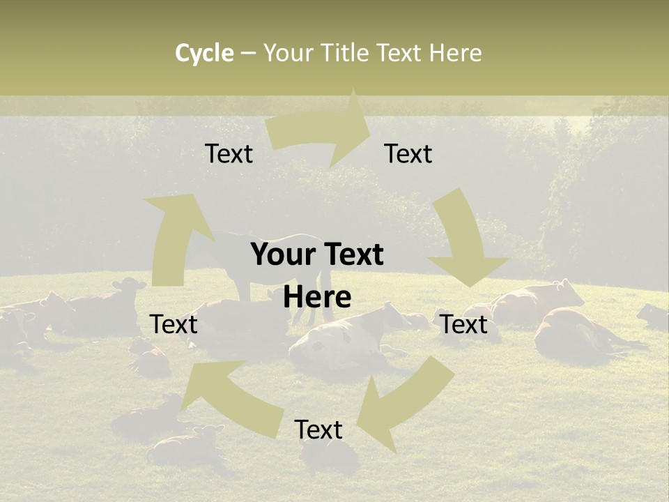 Pferde Tiere Kuh PowerPoint Template