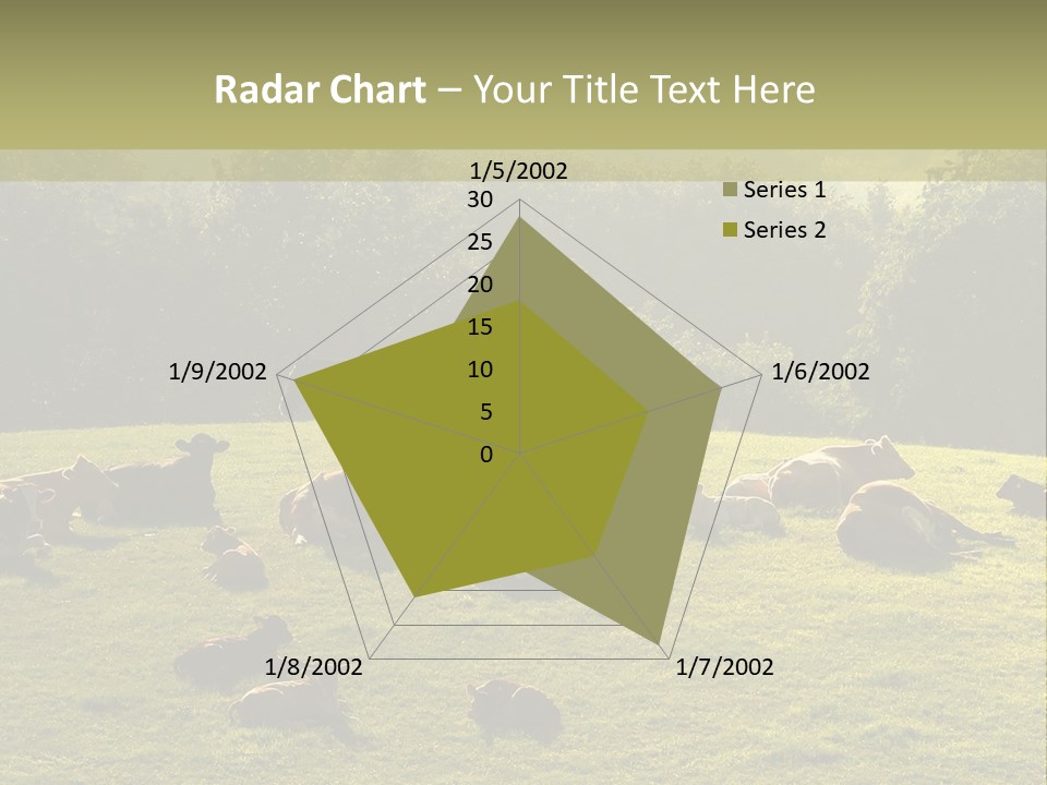 Pferde Tiere Kuh PowerPoint Template