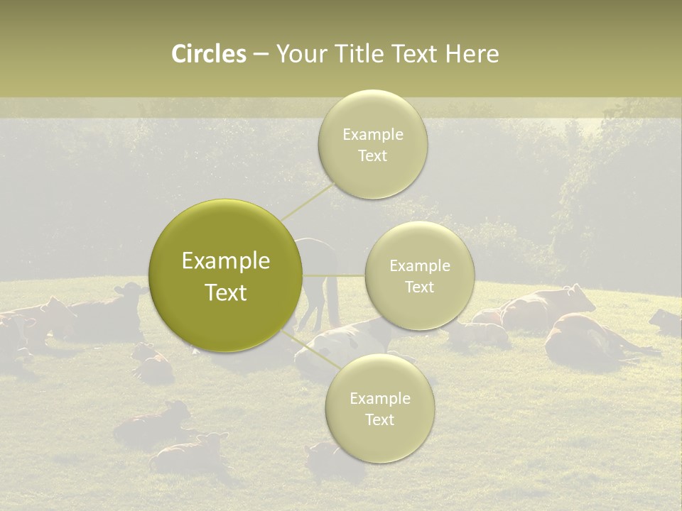 Pferde Tiere Kuh PowerPoint Template