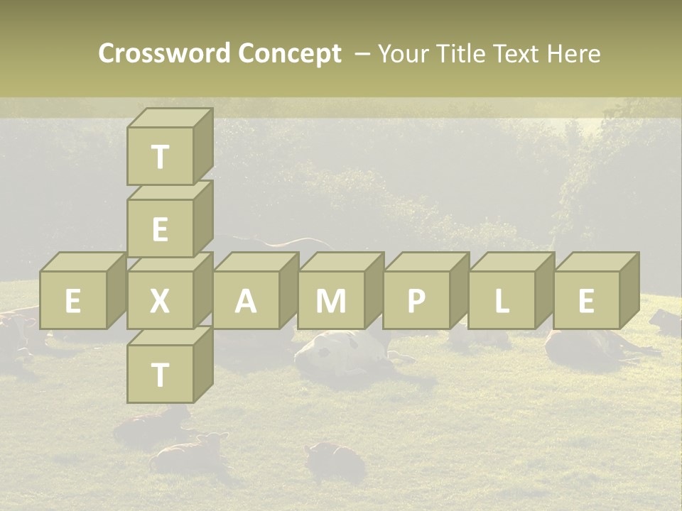 Pferde Tiere Kuh PowerPoint Template