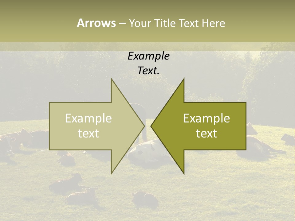 Pferde Tiere Kuh PowerPoint Template