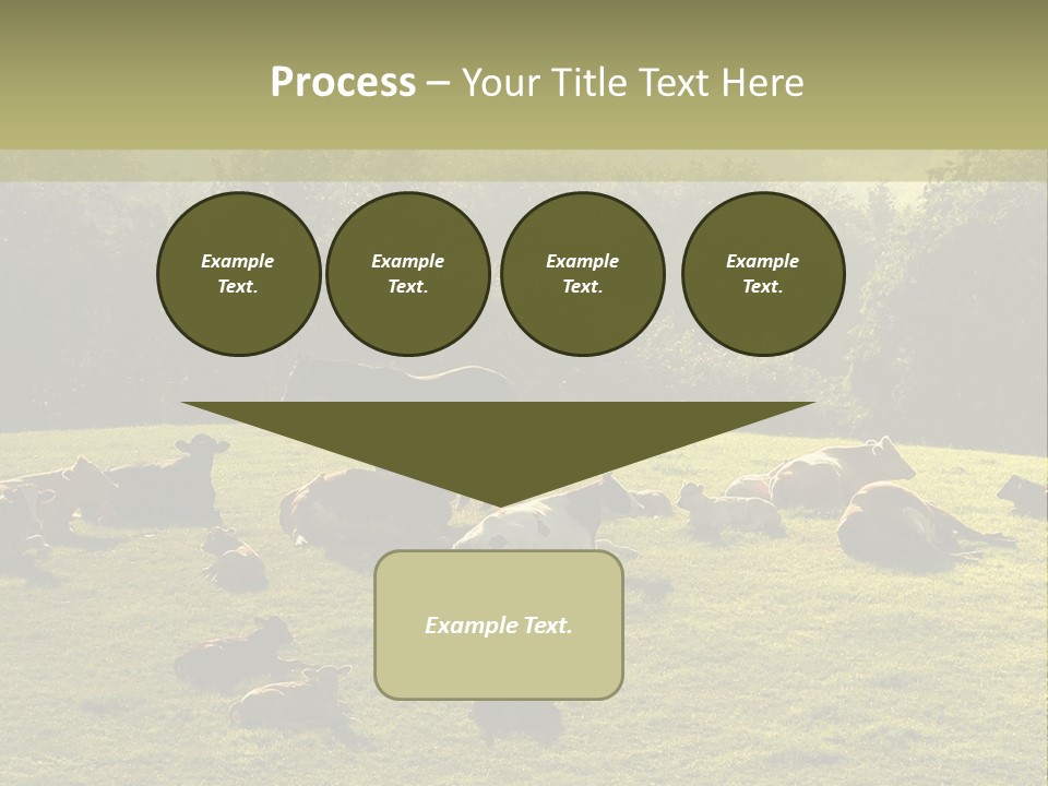 Pferde Tiere Kuh PowerPoint Template