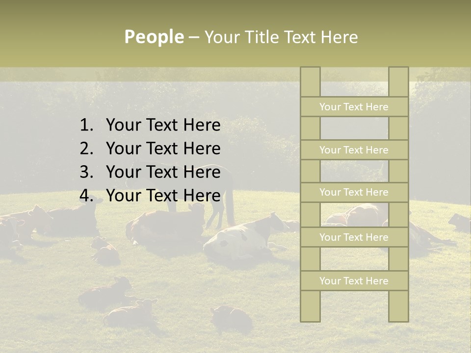 Pferde Tiere Kuh PowerPoint Template