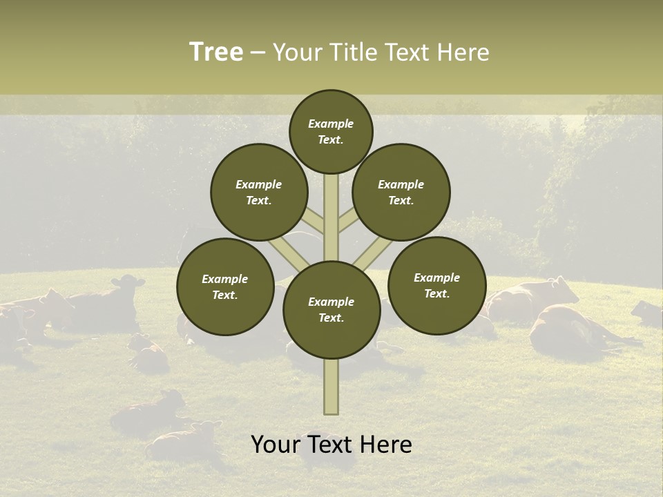 Pferde Tiere Kuh PowerPoint Template