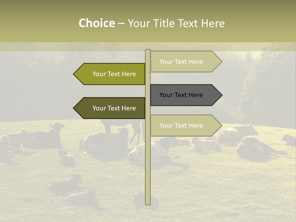Pferde Tiere Kuh PowerPoint Template