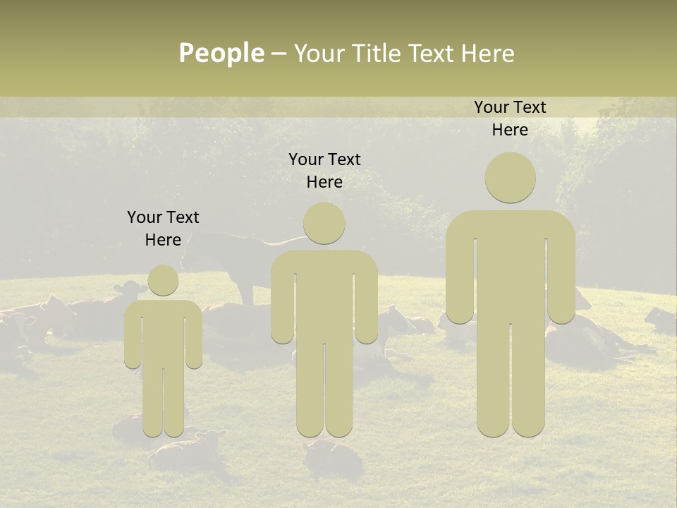 Pferde Tiere Kuh PowerPoint Template