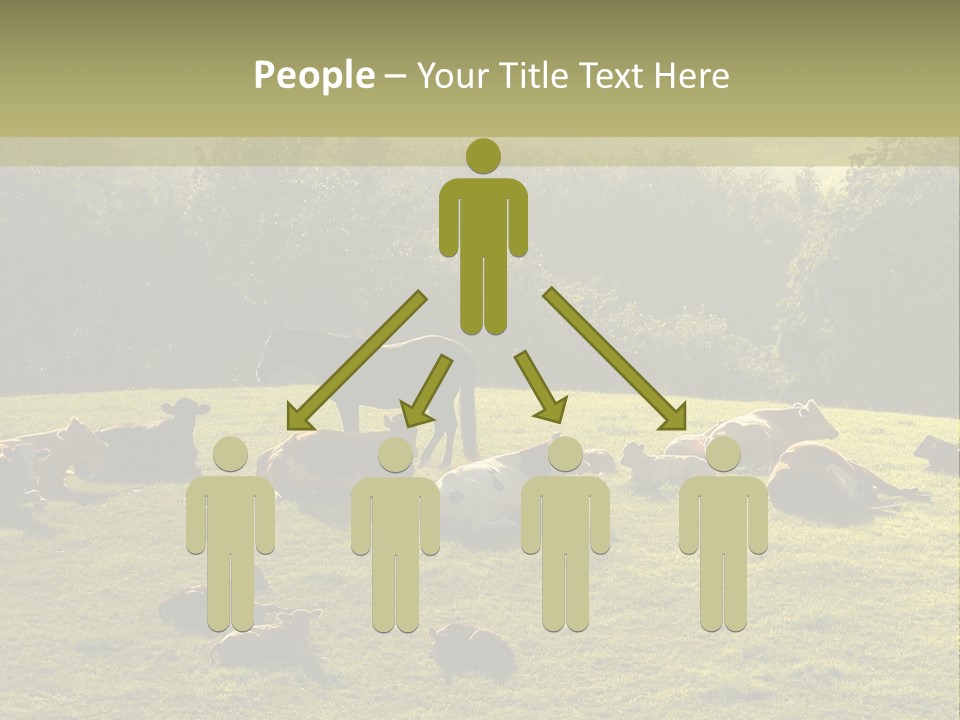 Pferde Tiere Kuh PowerPoint Template