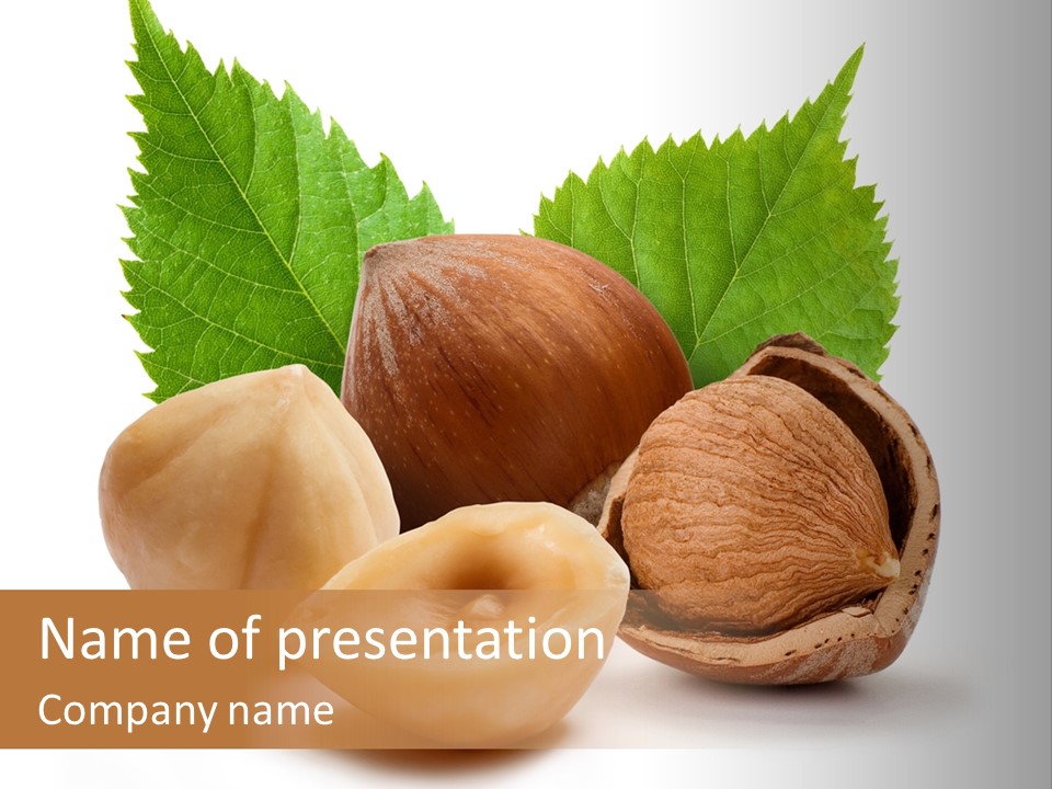 Skin Hazelnut Nuts PowerPoint Template