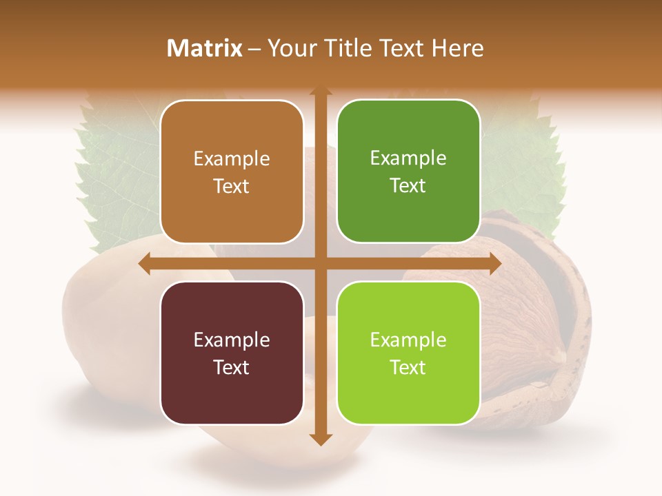 Skin Hazelnut Nuts PowerPoint Template