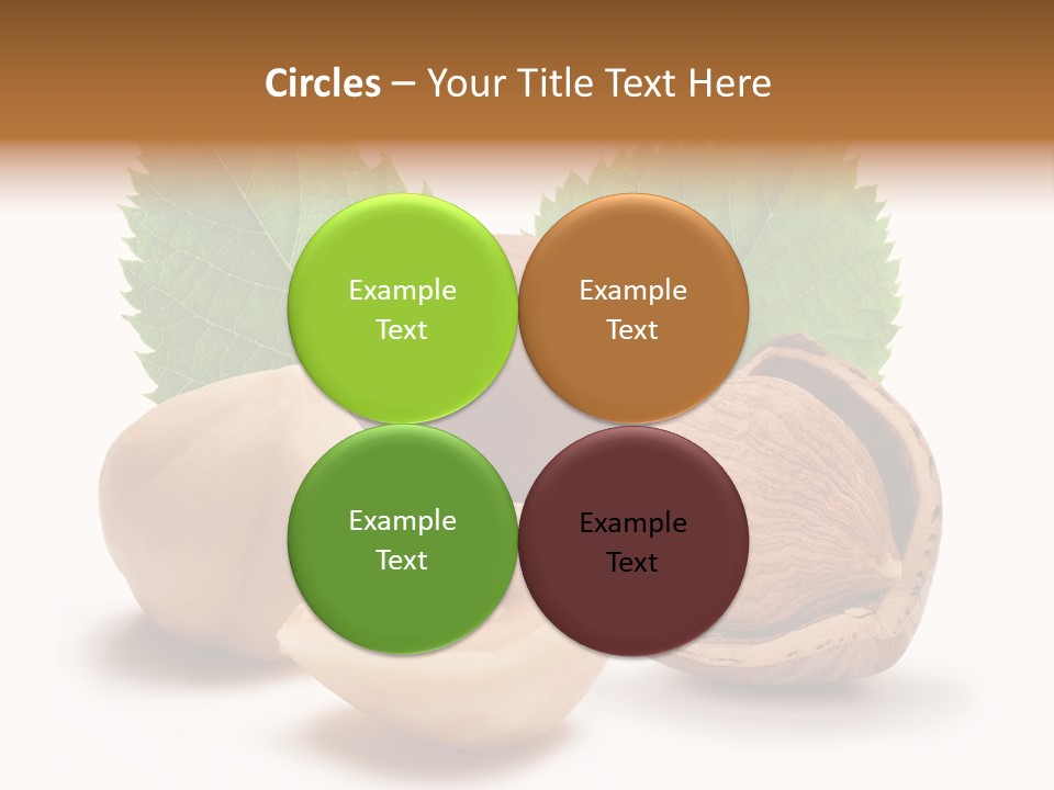 Skin Hazelnut Nuts PowerPoint Template