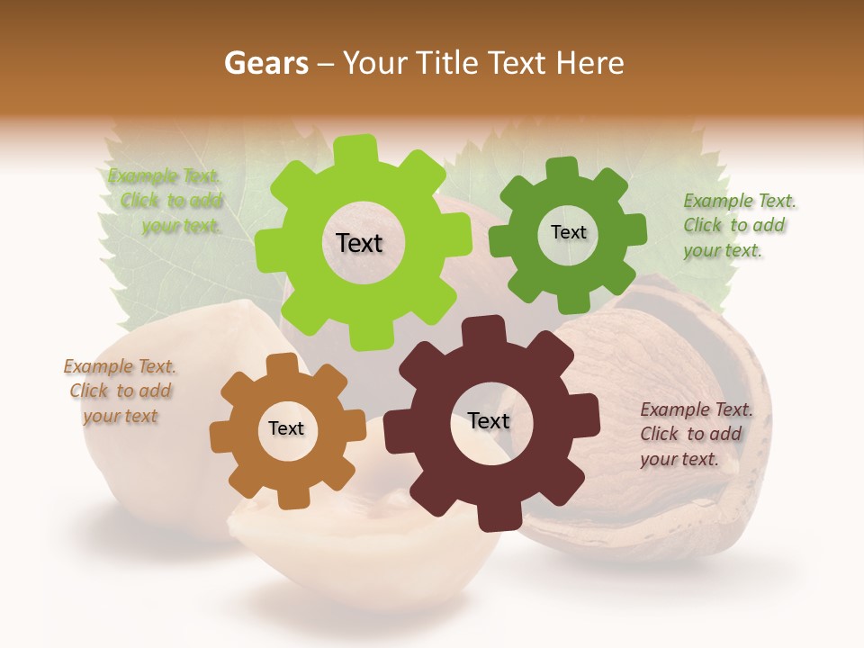 Skin Hazelnut Nuts PowerPoint Template