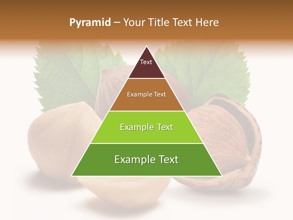 Skin Hazelnut Nuts PowerPoint Template