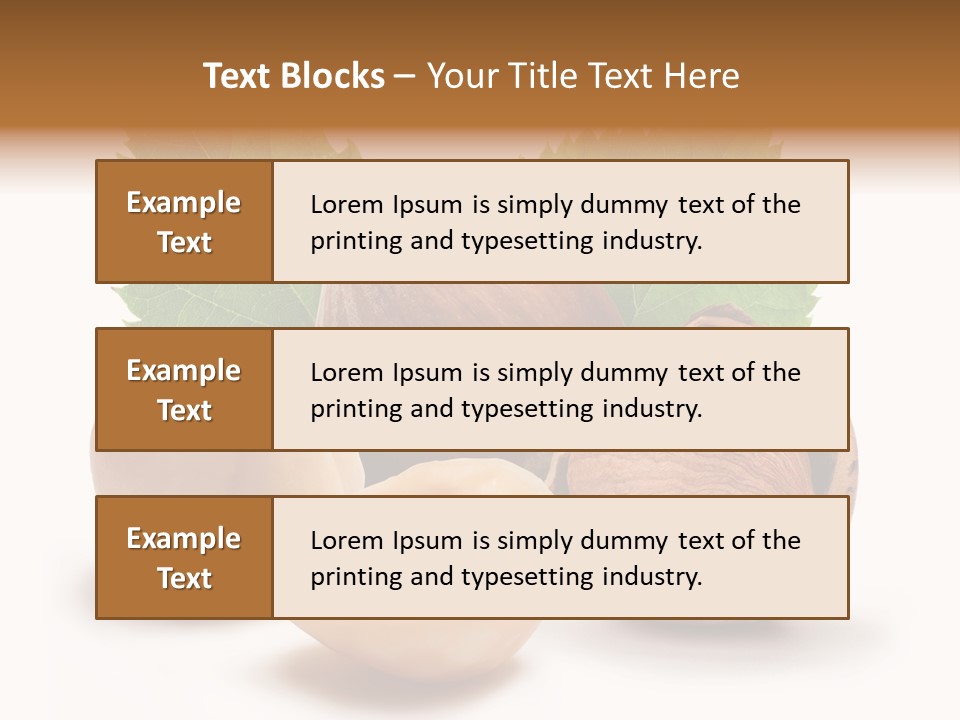 Skin Hazelnut Nuts PowerPoint Template