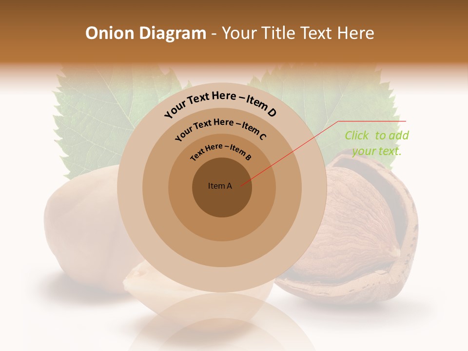 Skin Hazelnut Nuts PowerPoint Template