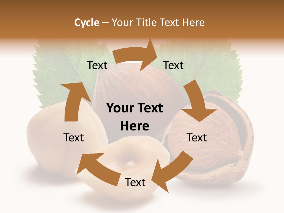 Skin Hazelnut Nuts PowerPoint Template