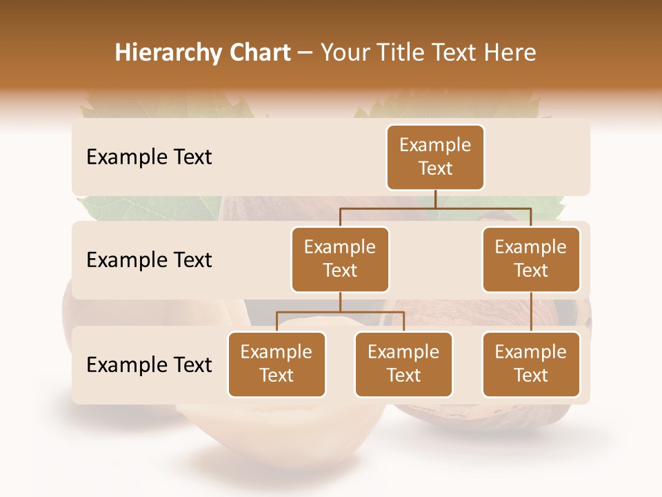 Skin Hazelnut Nuts PowerPoint Template
