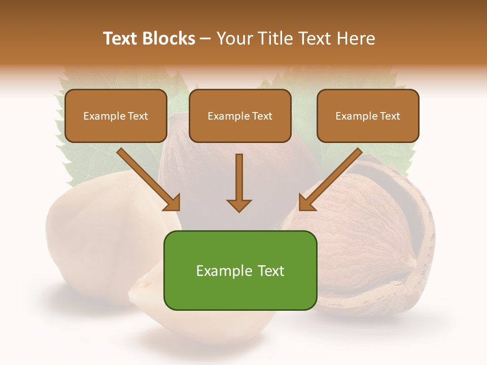 Skin Hazelnut Nuts PowerPoint Template