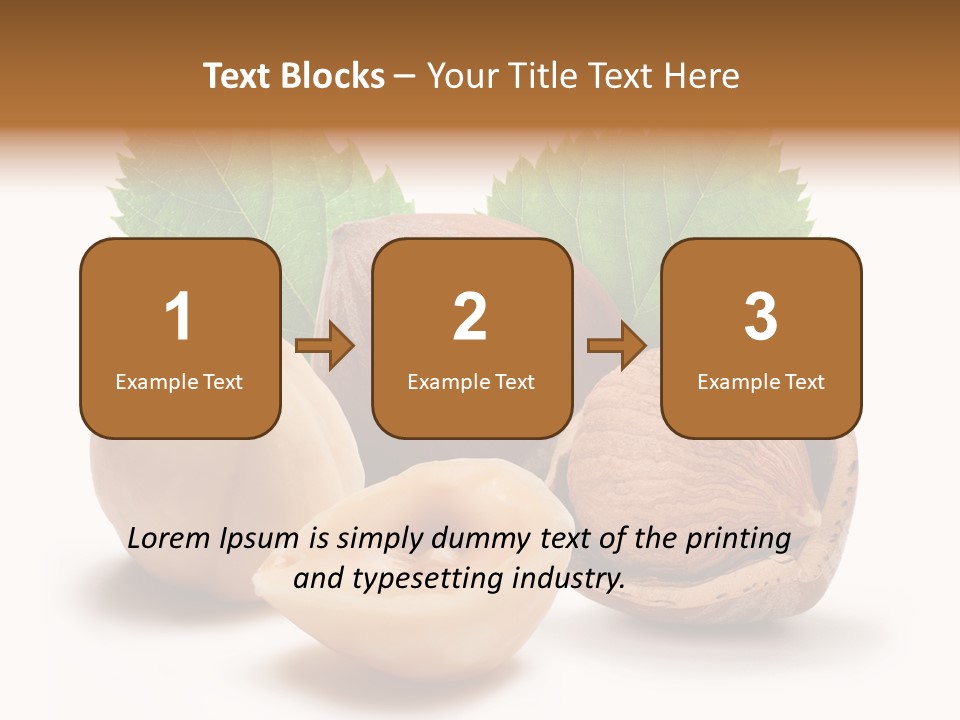 Skin Hazelnut Nuts PowerPoint Template