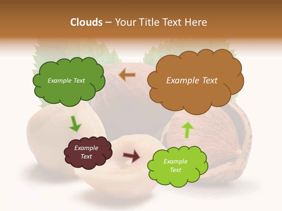 Skin Hazelnut Nuts PowerPoint Template