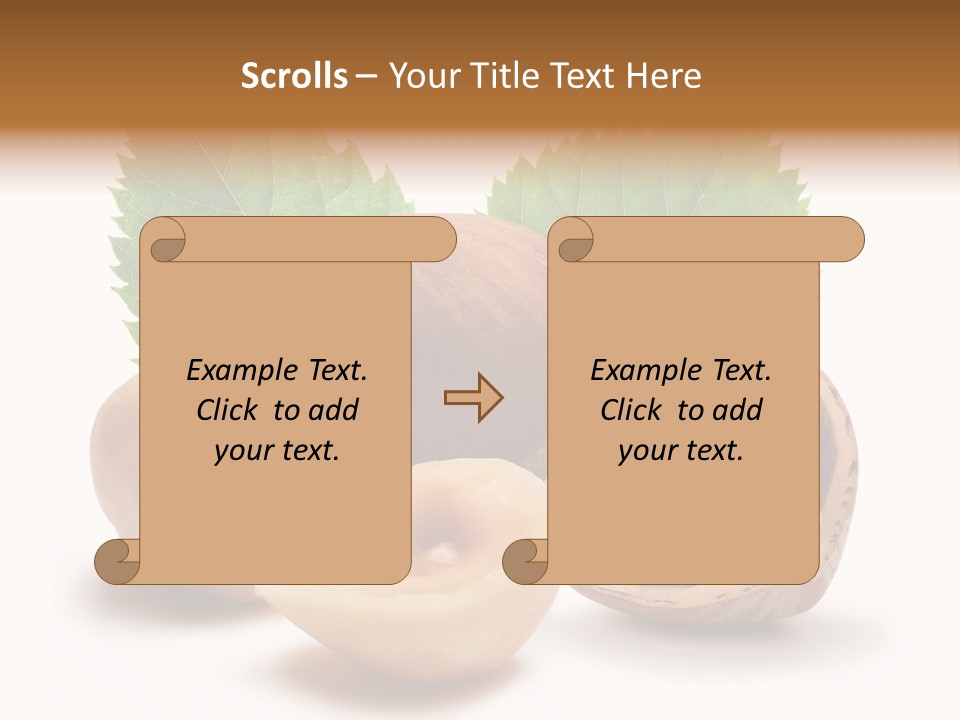 Skin Hazelnut Nuts PowerPoint Template