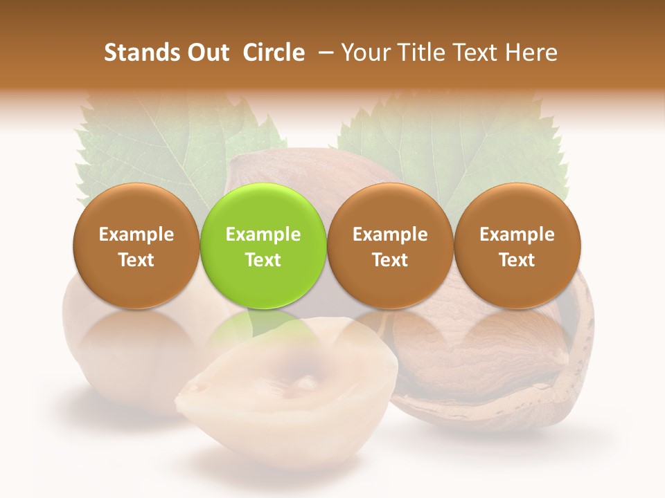 Skin Hazelnut Nuts PowerPoint Template