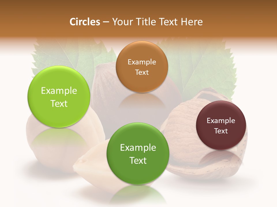 Skin Hazelnut Nuts PowerPoint Template