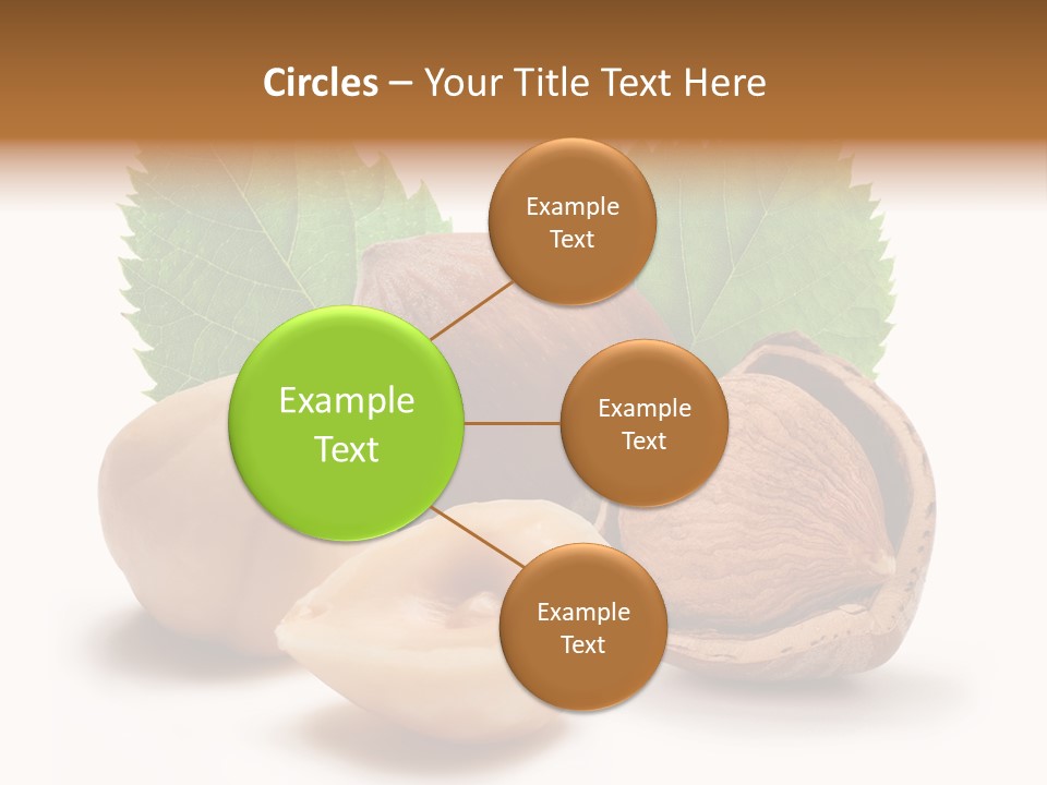 Skin Hazelnut Nuts PowerPoint Template