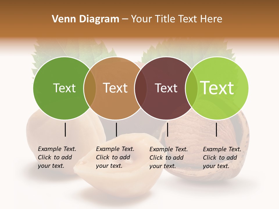 Skin Hazelnut Nuts PowerPoint Template