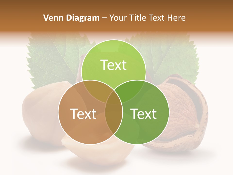 Skin Hazelnut Nuts PowerPoint Template