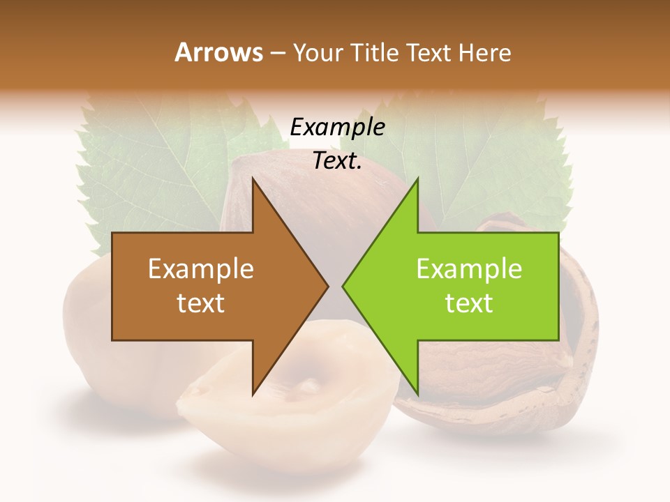 Skin Hazelnut Nuts PowerPoint Template