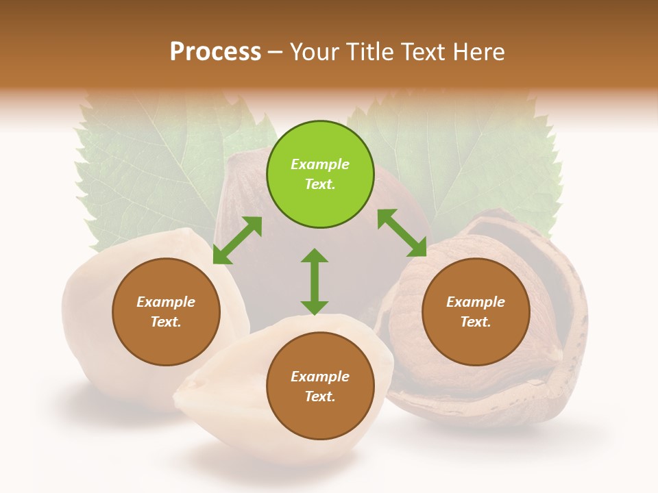 Skin Hazelnut Nuts PowerPoint Template