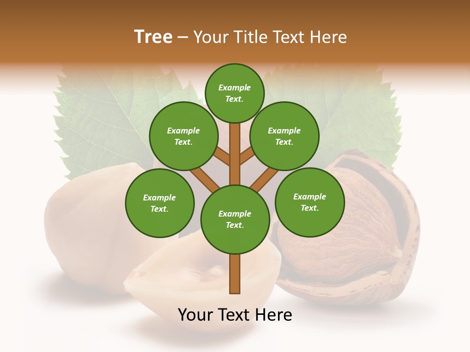 Skin Hazelnut Nuts PowerPoint Template