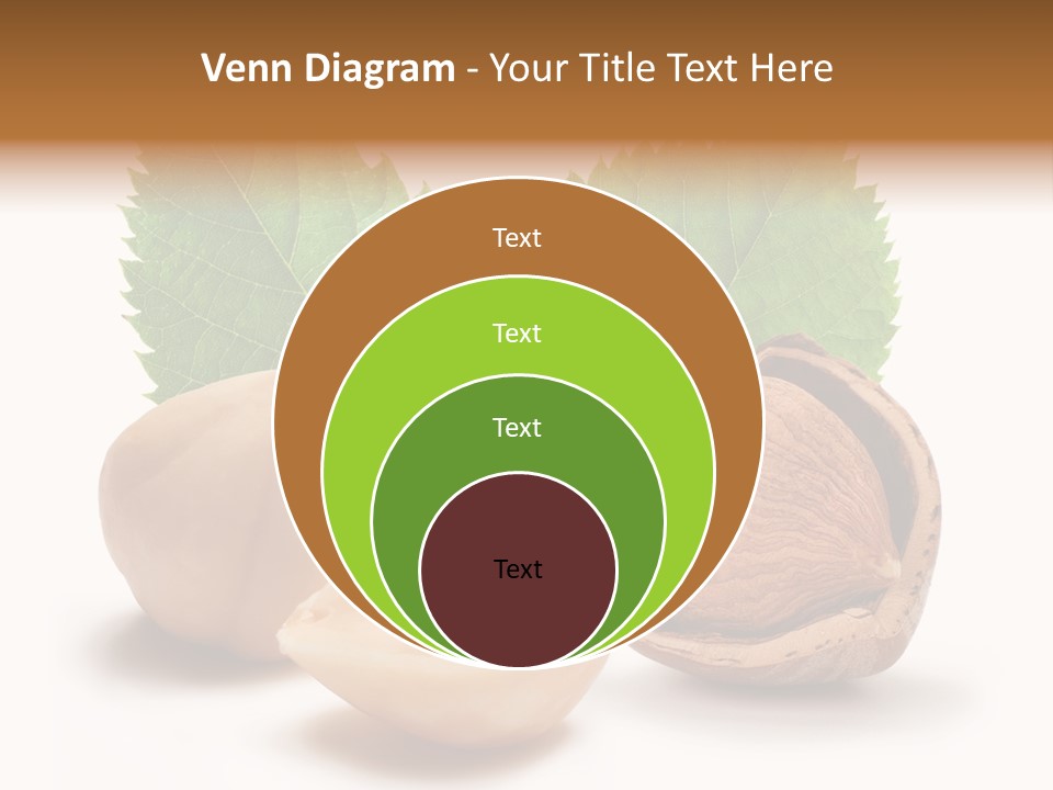 Skin Hazelnut Nuts PowerPoint Template
