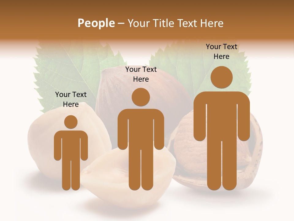Skin Hazelnut Nuts PowerPoint Template