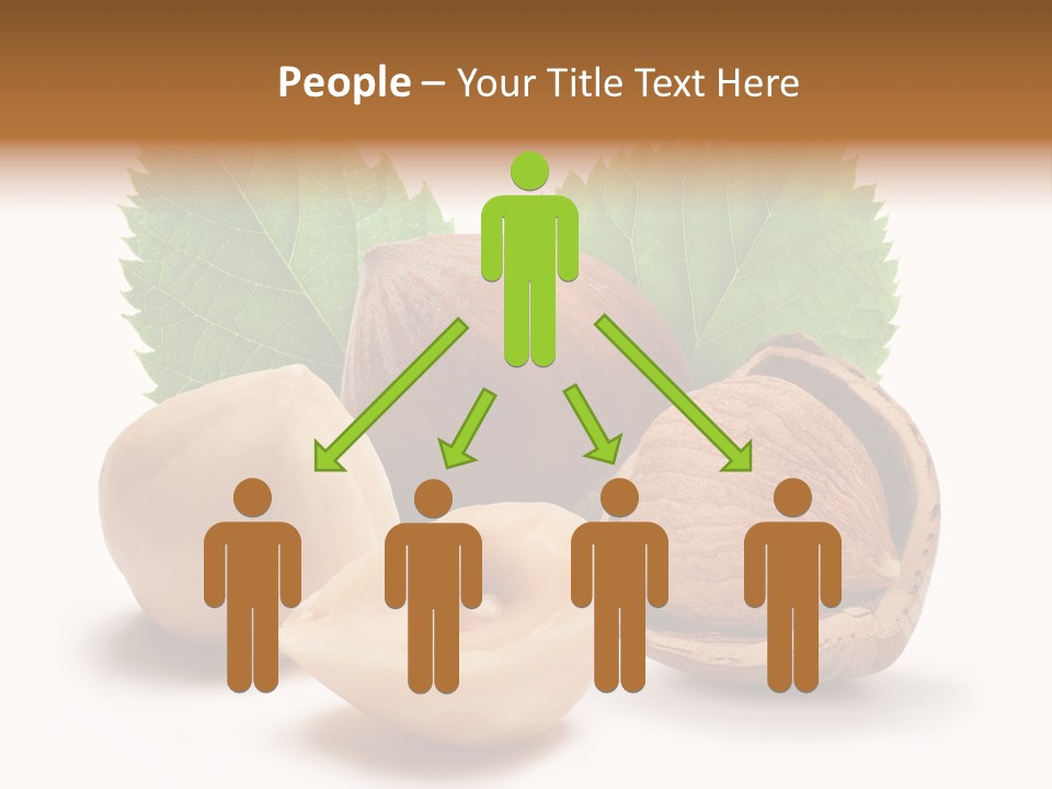 Skin Hazelnut Nuts PowerPoint Template