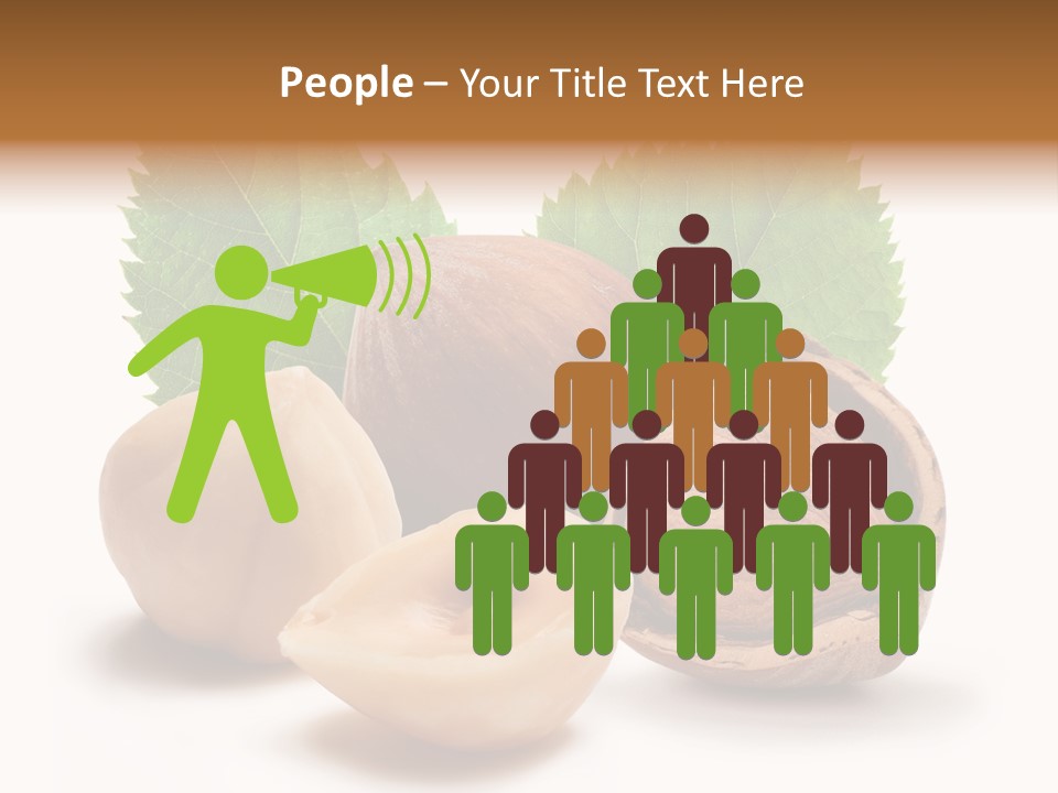 Skin Hazelnut Nuts PowerPoint Template