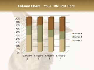 Herbivore Mammal Fart PowerPoint Template