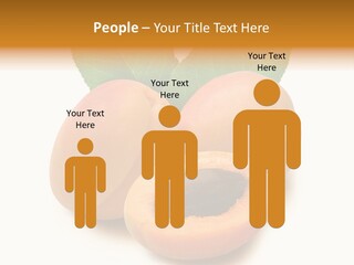 Sweet Still Life Yellow PowerPoint Template