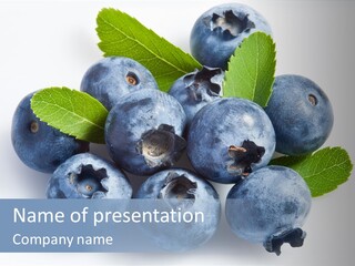 Food White Whortleberry PowerPoint Template