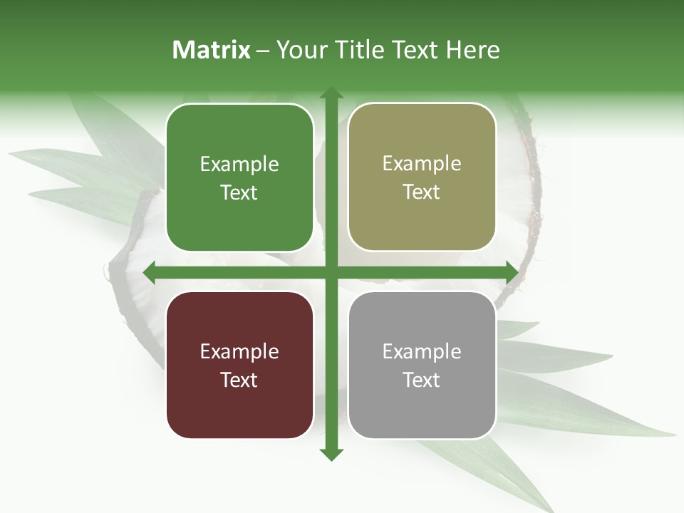 Nut Exotic Picture PowerPoint Template