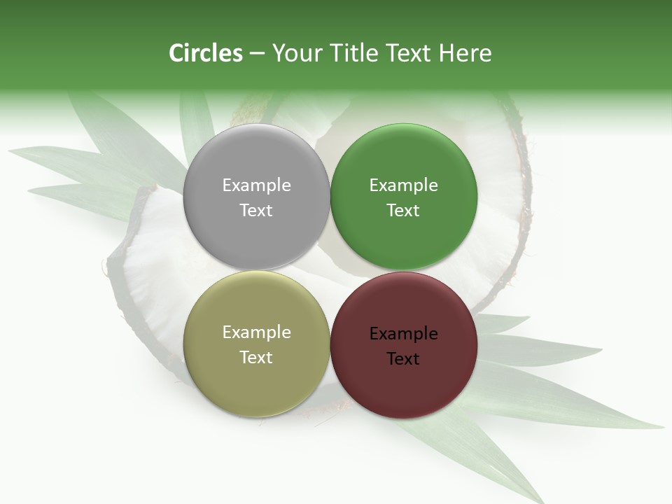 Nut Exotic Picture PowerPoint Template