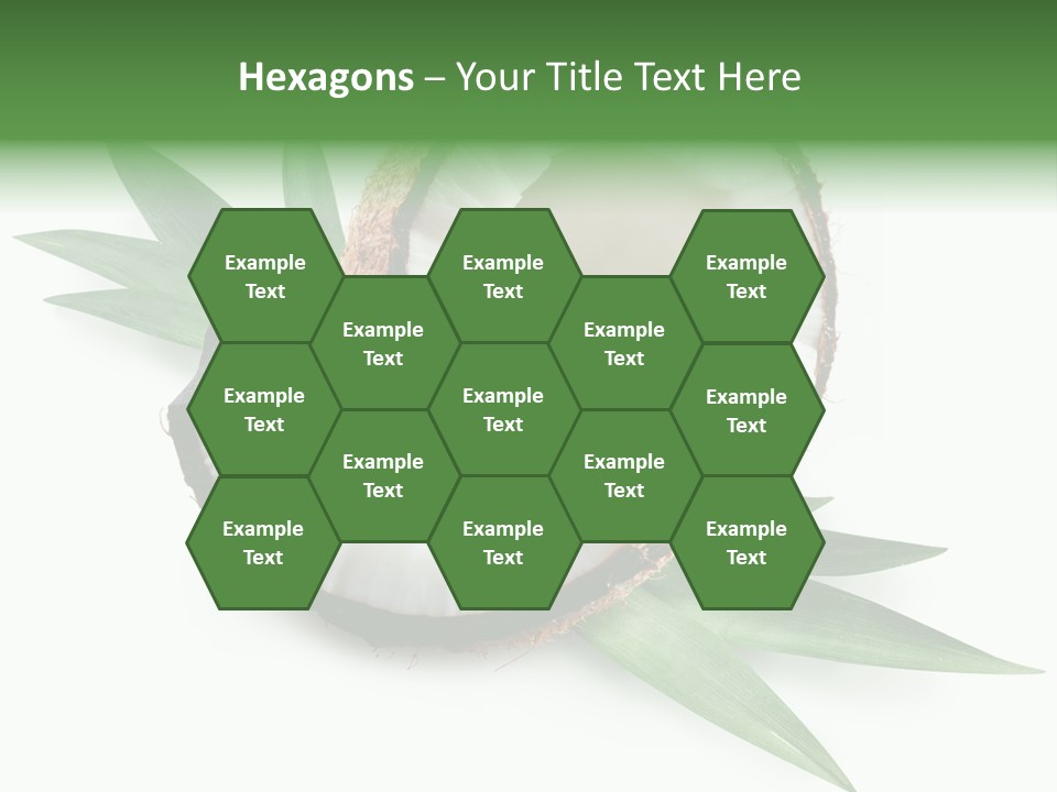 Nut Exotic Picture PowerPoint Template