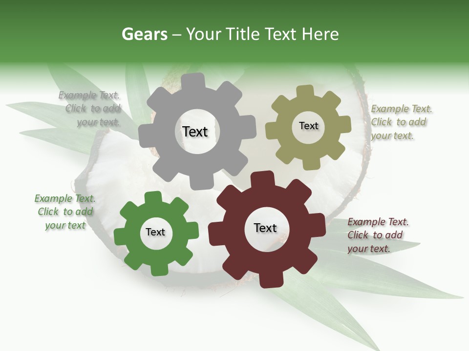 Nut Exotic Picture PowerPoint Template